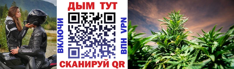 Каннабис OG Kush  это телеграм  Аргун 